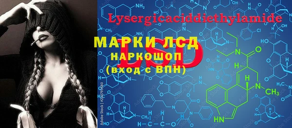 сатива Алзамай