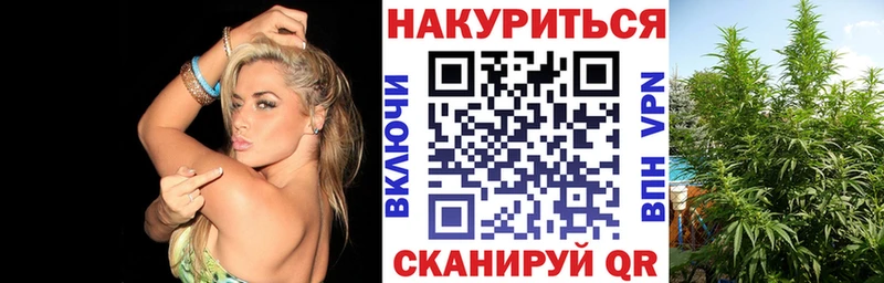 Конопля план  Ступино 